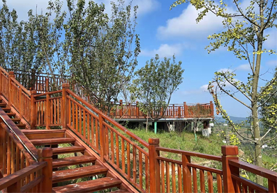 細數(shù)秋天的落葉，感生命的絢爛