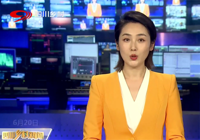 四川鄉村頻道報道 | 千久發生態青花椒賣到港澳臺