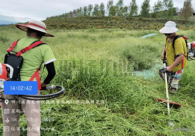 除雜草，護椒園 | 基地除草工作進行時......